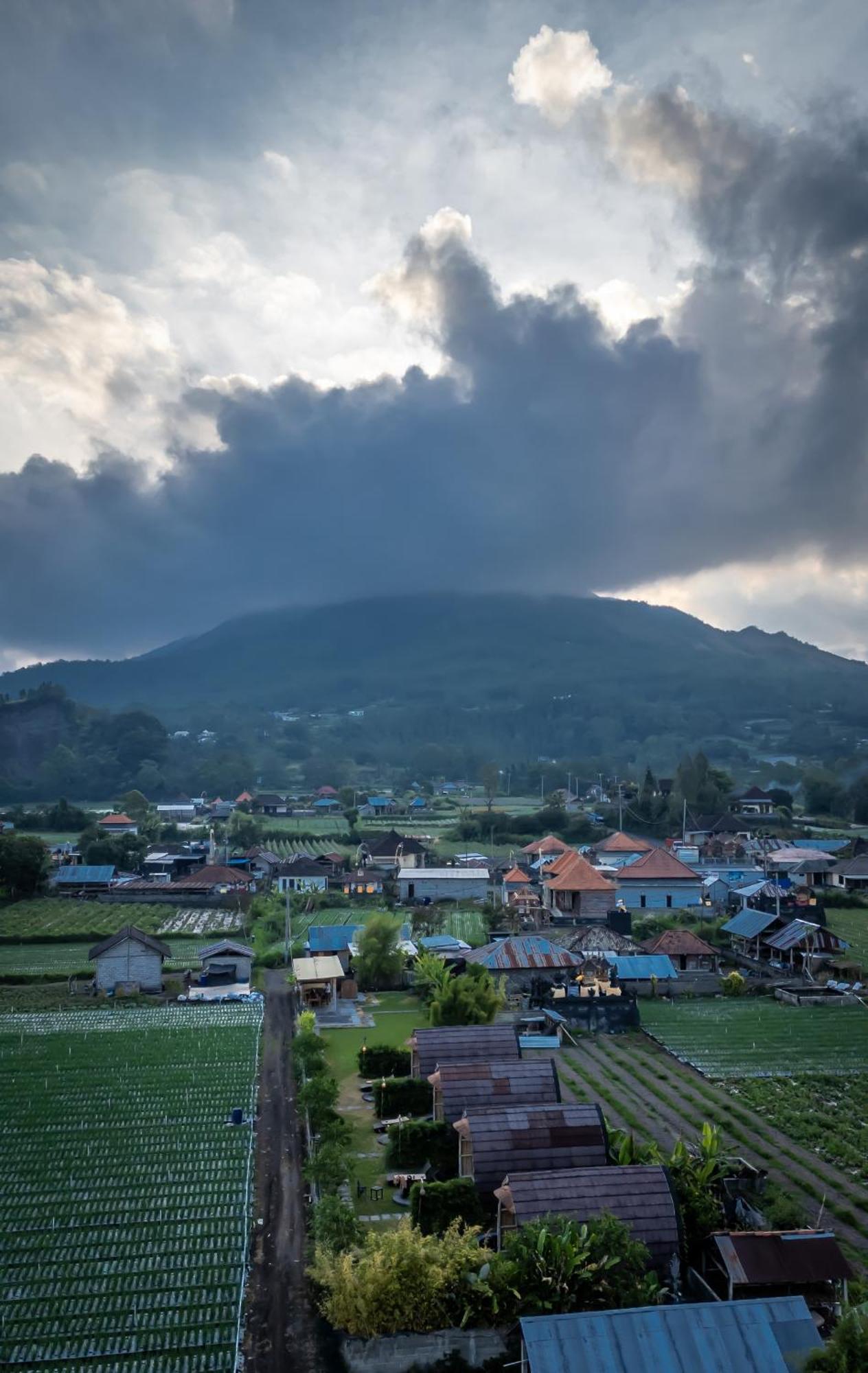 Tegal Bamboo Cottages & Private Hot Spring Baturaja  Экстерьер фото